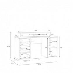 Biurko NET106 MT980-M888 Forte