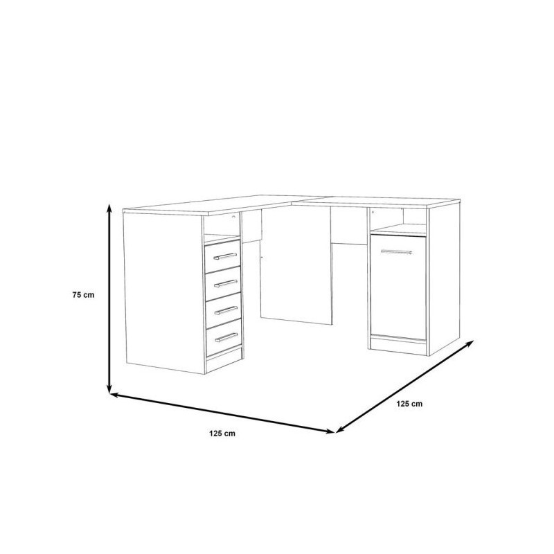 Biurko NET106 OFDB125-120 Forte